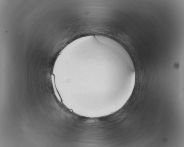 X0000111520415200908251142