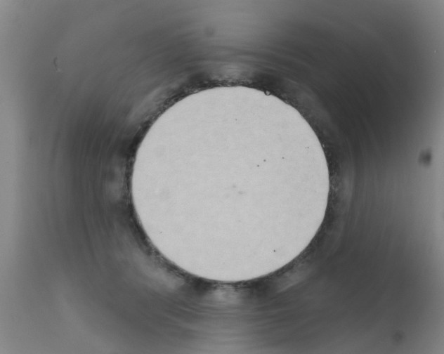 X0000111520416200908251142