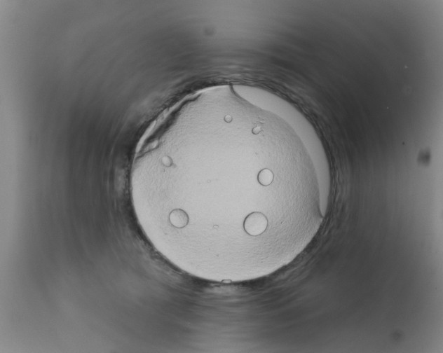 X0000111520417200908251142