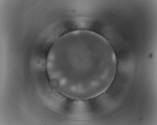 X0000111520419200908251142