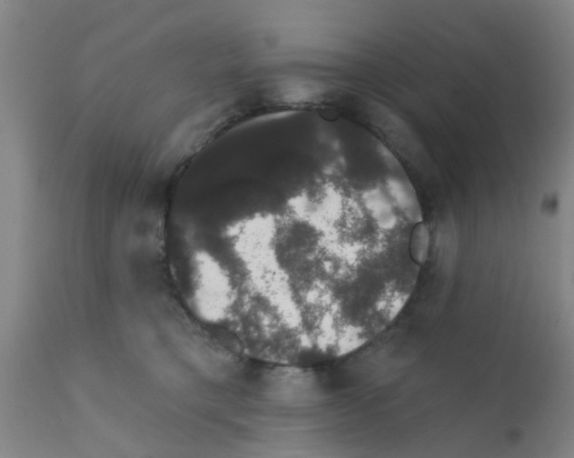 X0000111520421200908251142