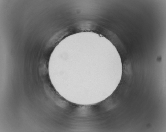 X0000111520422200908251142