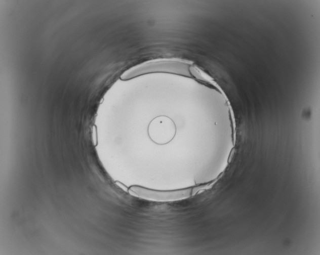 X0000111520423200908251142