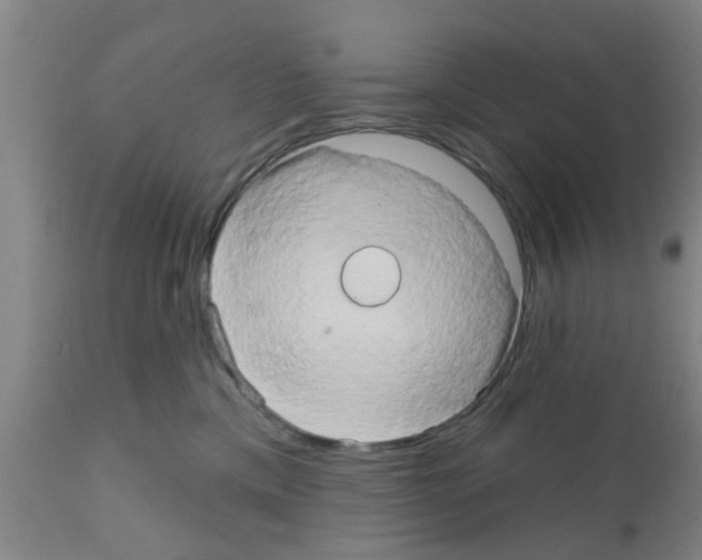 X0000111520425200908251142