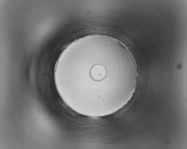 X0000111520429200908251142