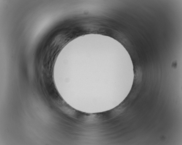 X0000111520430200908251142