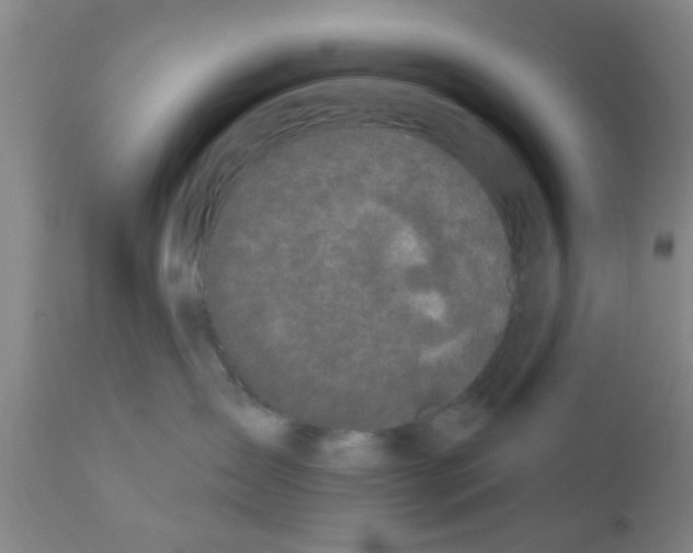 X0000111520431200908251142