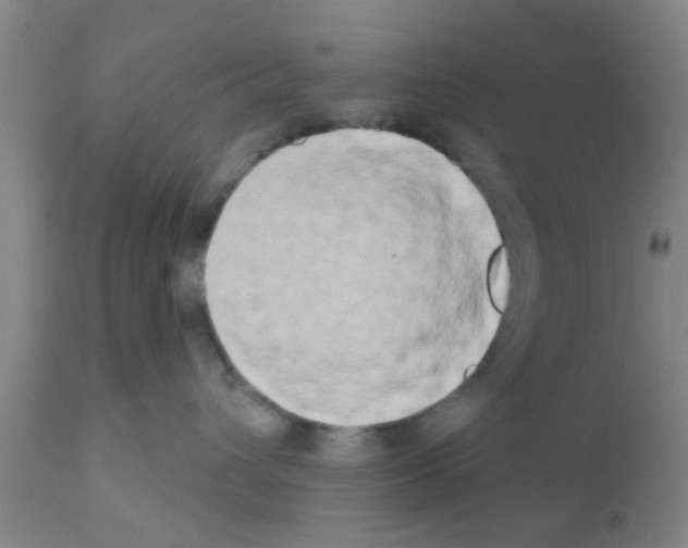X0000111520432200908251142