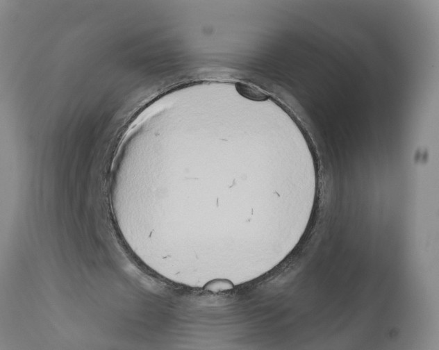 X0000111520433200908251141