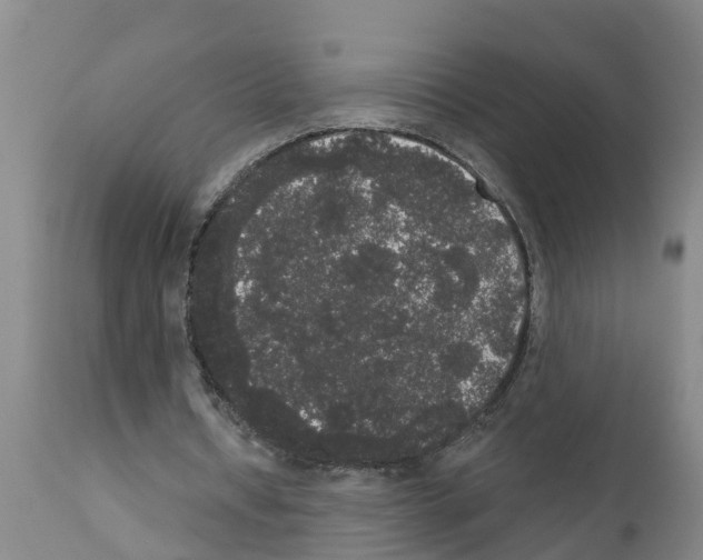 X0000111520434200908251141