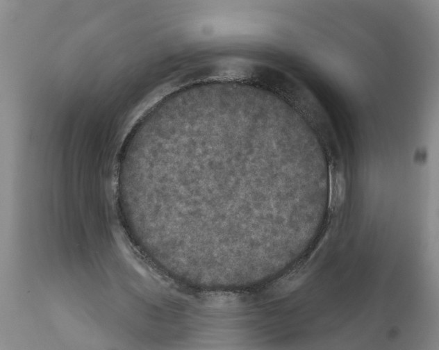 X0000111520435200908251141