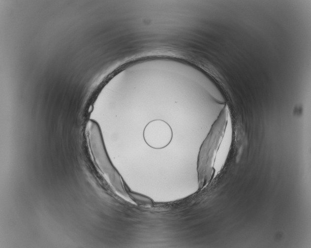 X0000111520436200908251141
