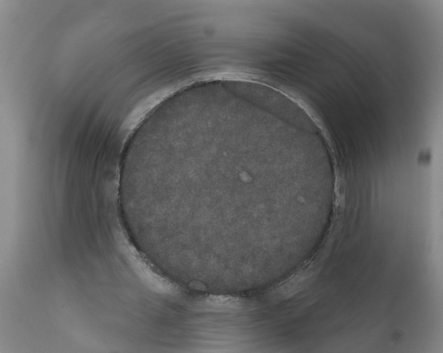 X0000111520437200908251141