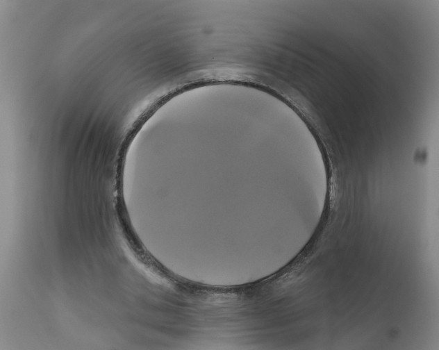 X0000111520438200908251141