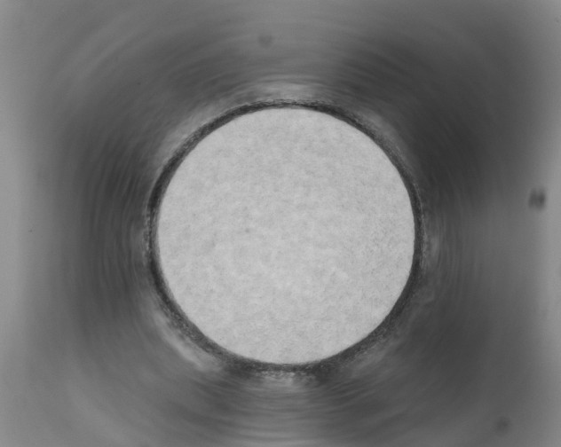 X0000111520439200908251141