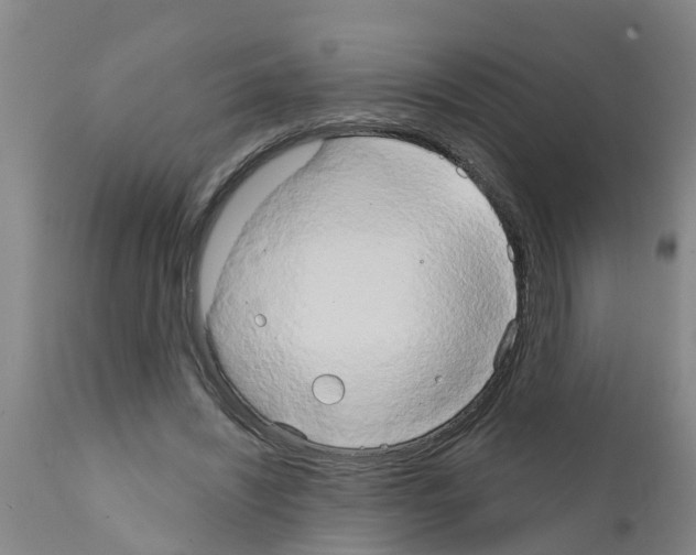 X0000111520444200908251141