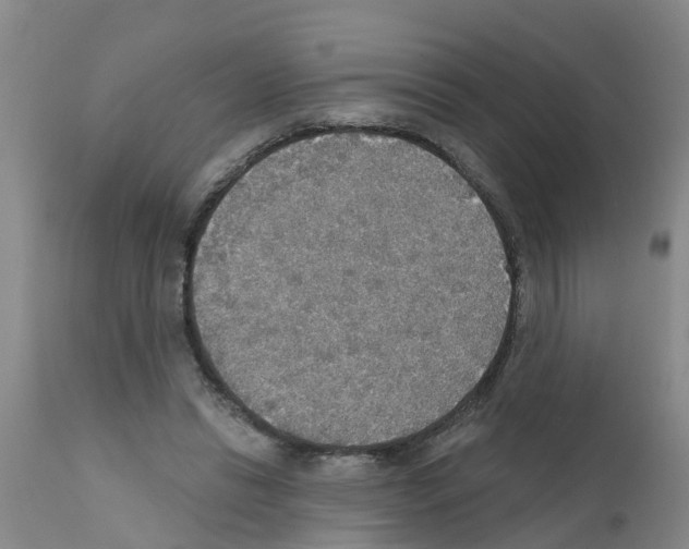 X0000111520446200908251141
