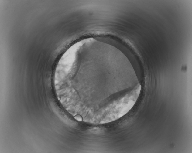 X0000111520447200908251141