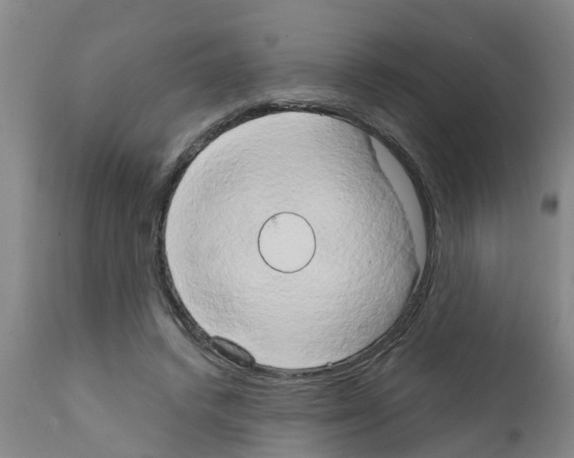 X0000111520448200908251141