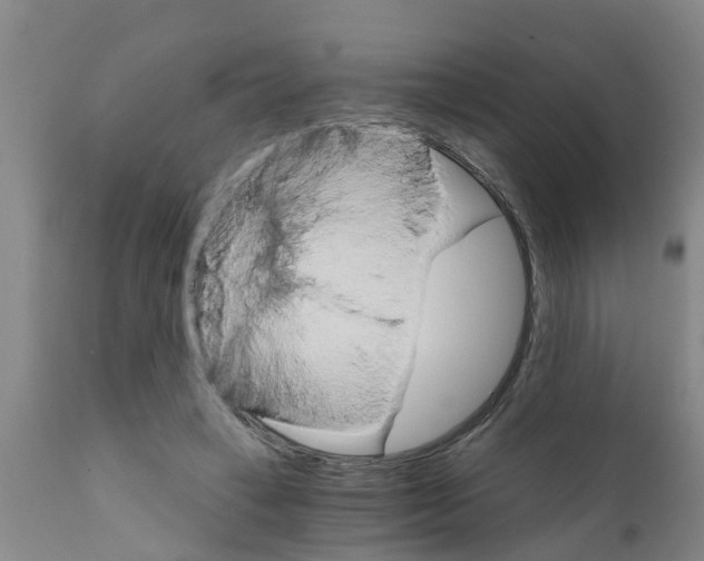 X0000111520449200908251141