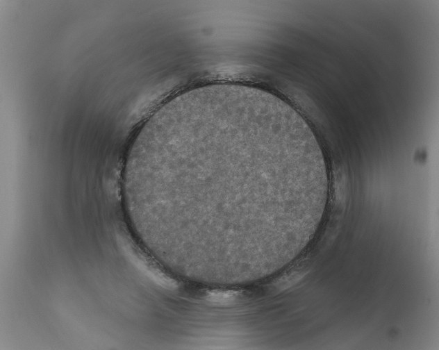 X0000111520450200908251141