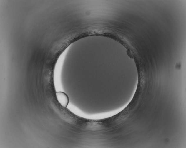 X0000111520451200908251141