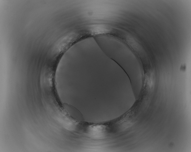 X0000111520452200908251141