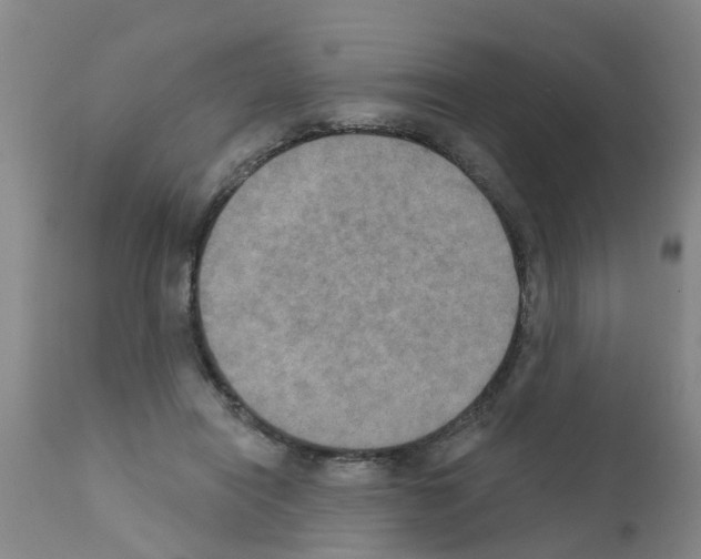 X0000111520454200908251141