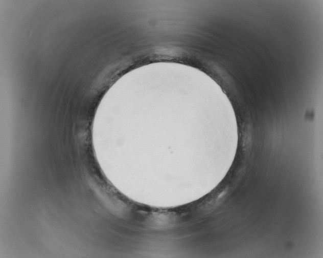 X0000111520455200908251141