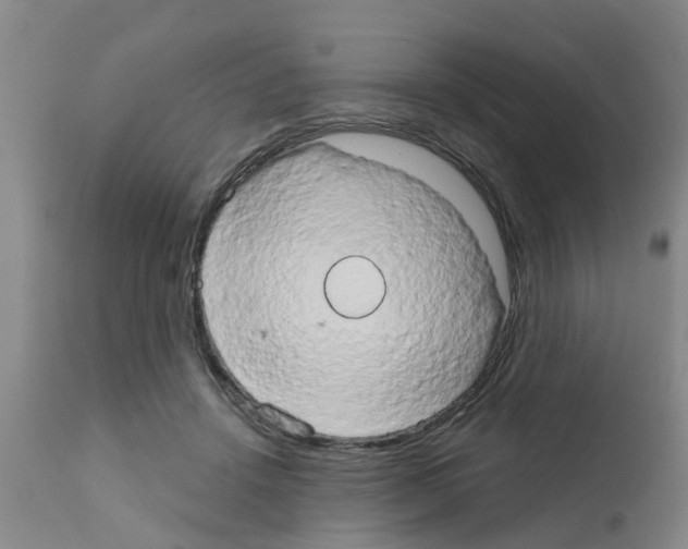 X0000111520456200908251141