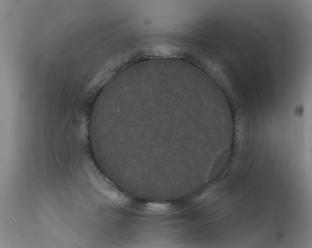 X0000111520457200908251141