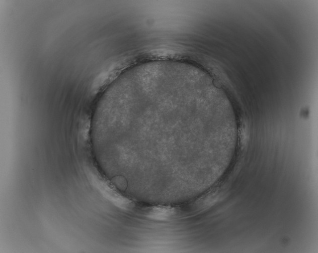 X0000111520458200908251141