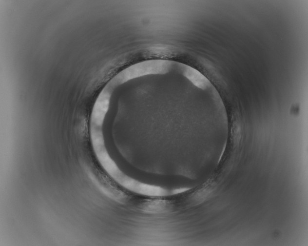 X0000111520459200908251141