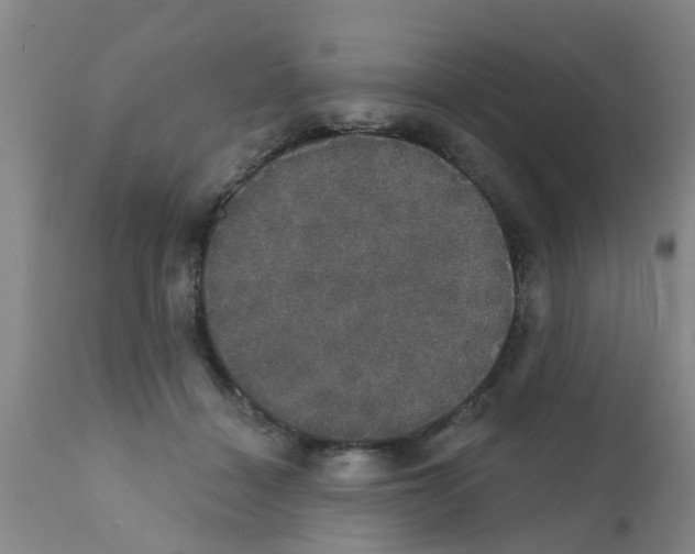 X0000111520460200908251141
