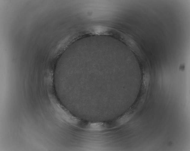 X0000111520461200908251141