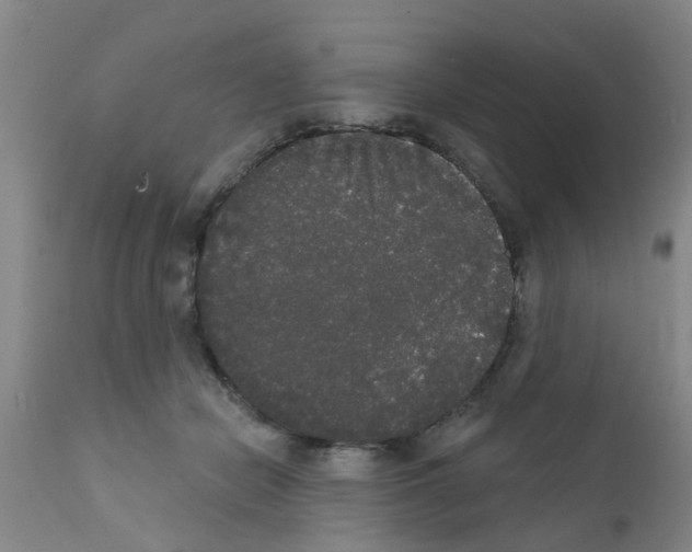 X0000111520462200908251141
