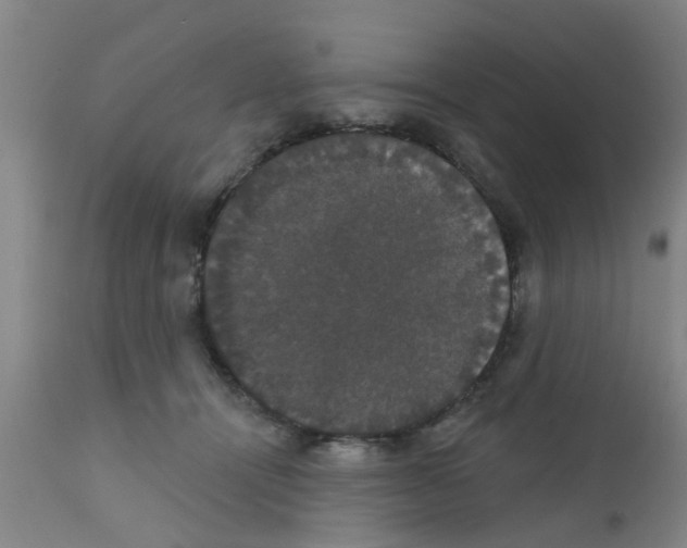 X0000111520464200908251141