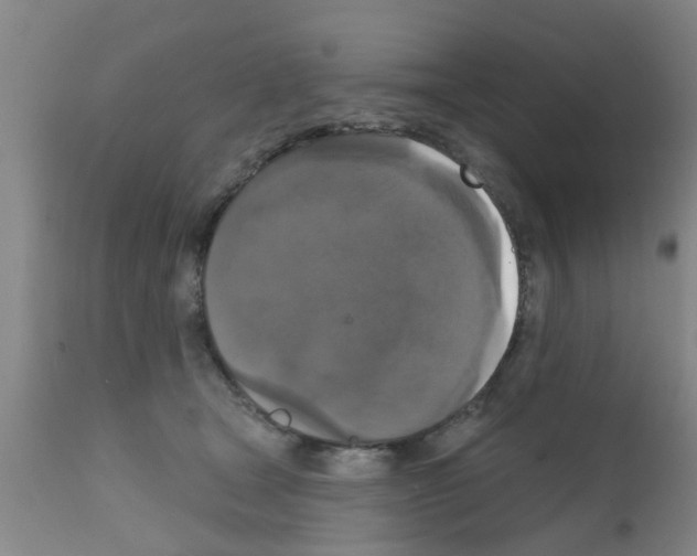X0000111520465200908251141