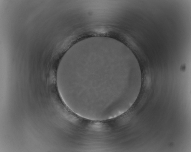 X0000111520467200908251141