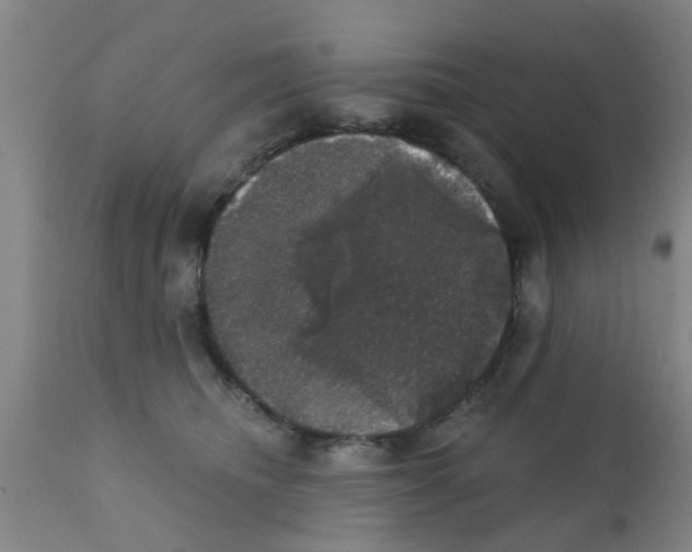 X0000111520468200908251141
