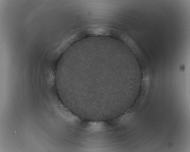 X0000111520469200908251141