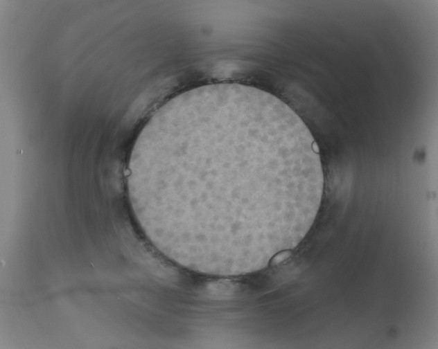 X0000111520470200908251141
