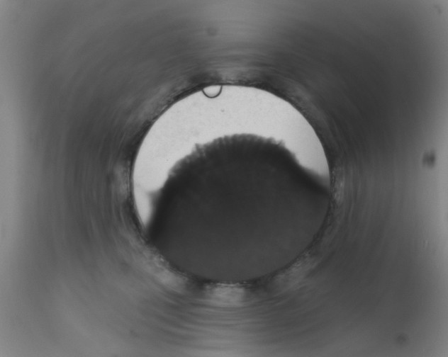 X0000111520471200908251141