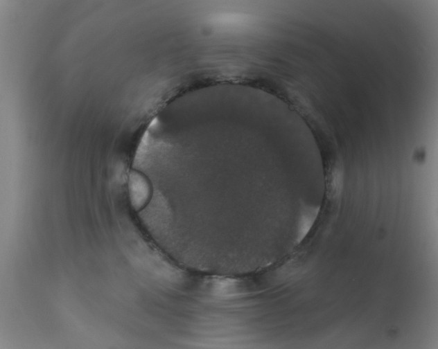 X0000111520472200908251141