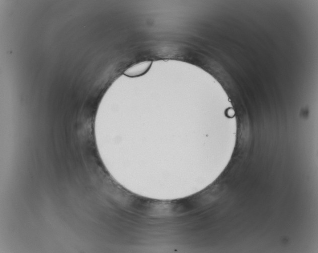 X0000111520473200908251142