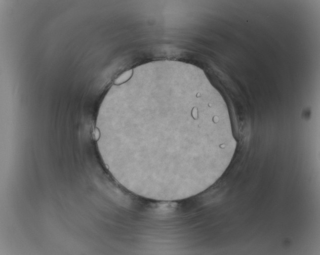 X0000111520474200908251142