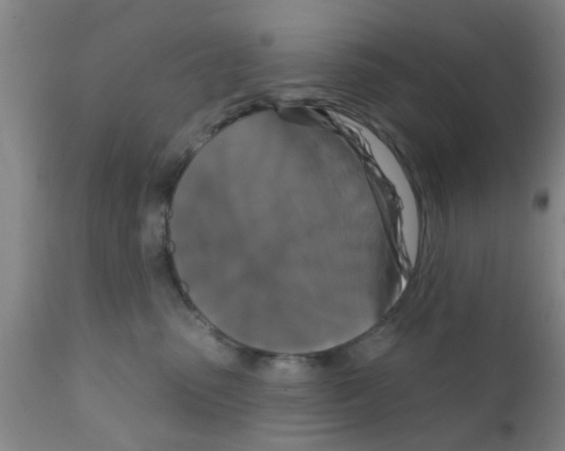 X0000111520475200908251142