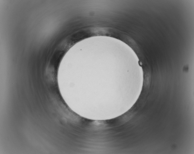 X0000111520477200908251142
