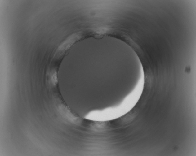 X0000111520479200908251142