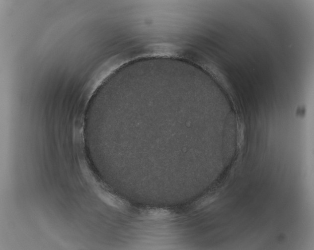 X0000111520483200908251141